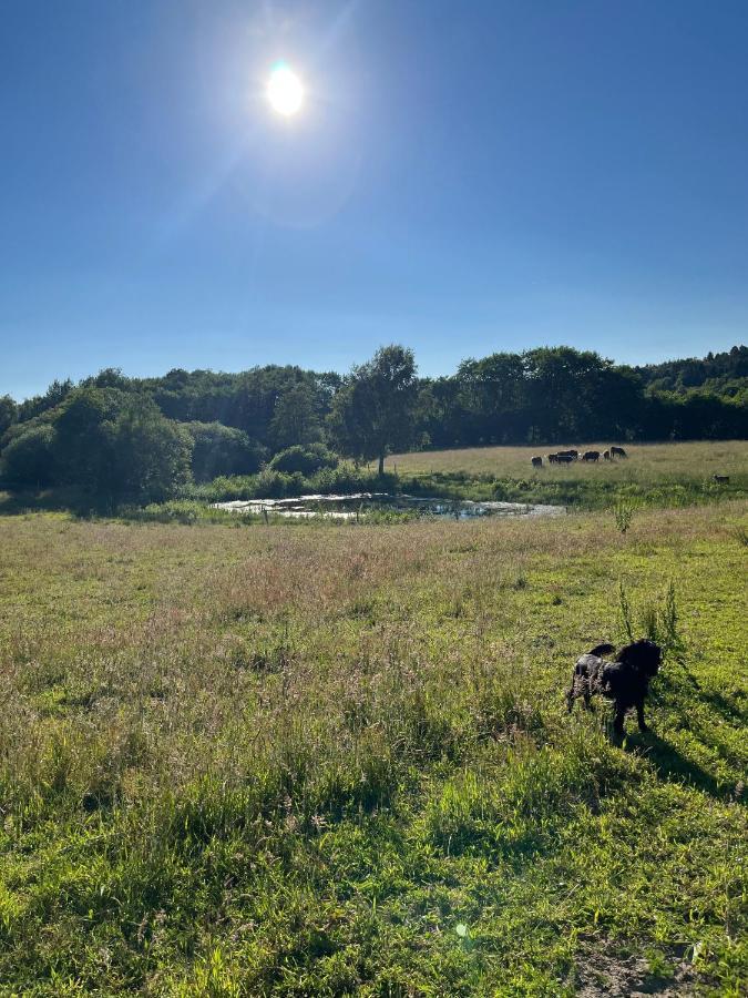 Gaestfri Overnatning Gjern Exterior foto