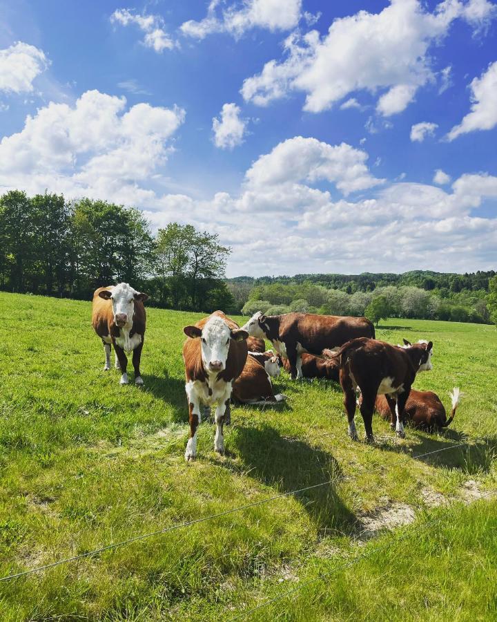 Gaestfri Overnatning Gjern Exterior foto